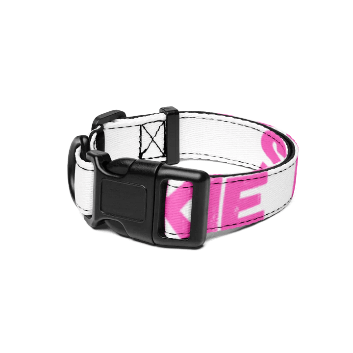 Spookie Dookie Pet Collar product image (1)