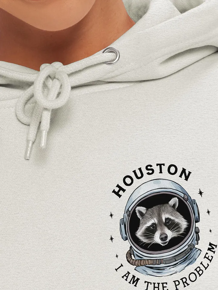 I Am The Problem Raccoon Hoodie product image (1)