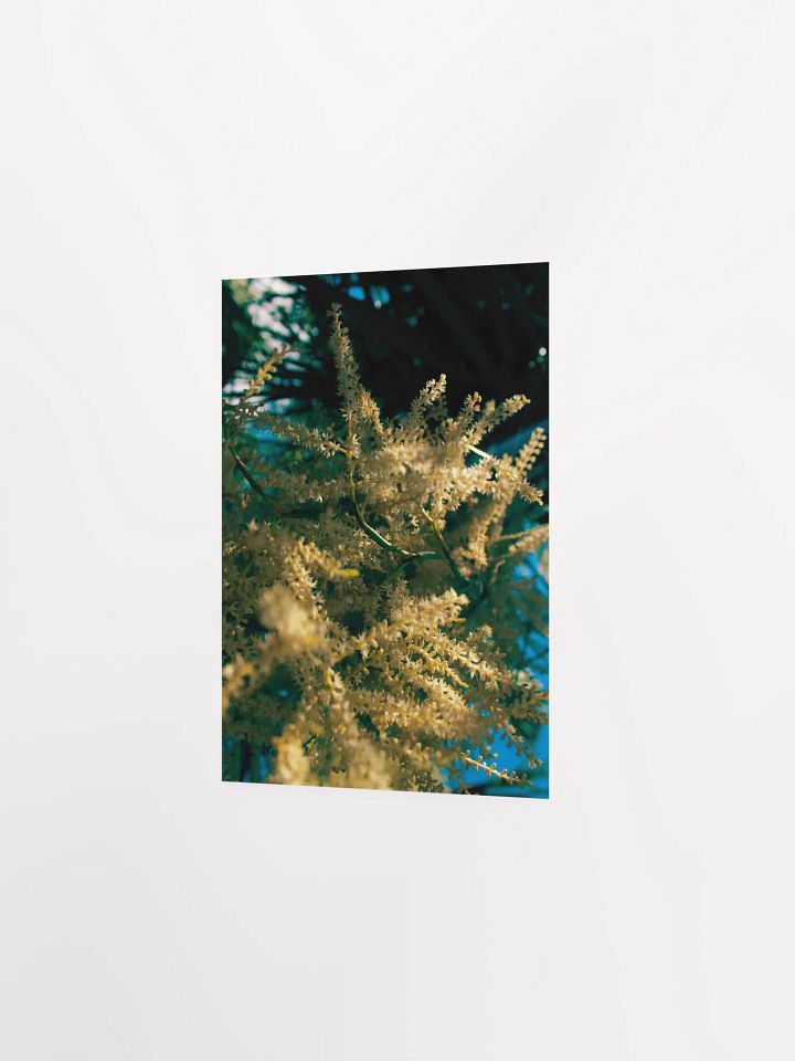 Tentacle of God product image (16)