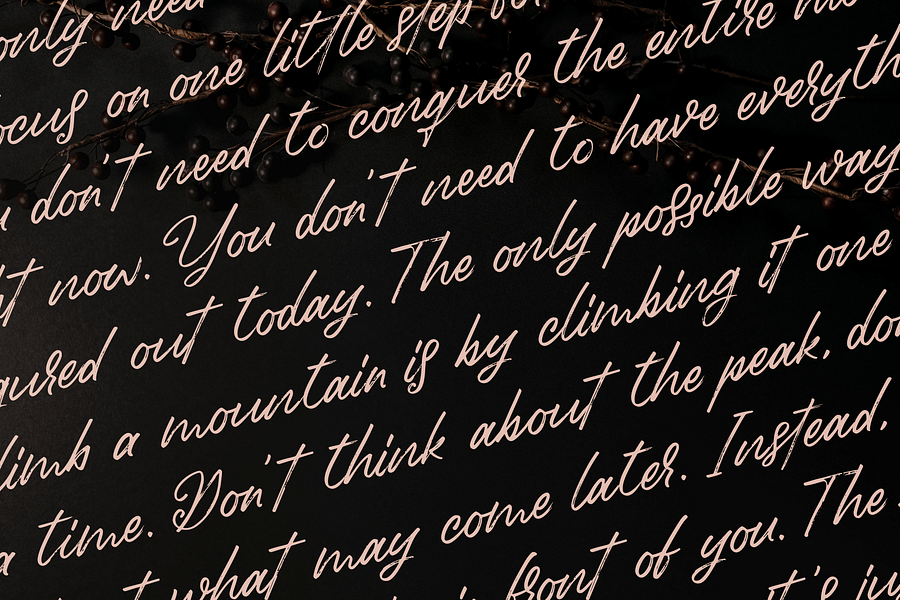 Birdinaire | A Modern Calligraphy Font product image (6)