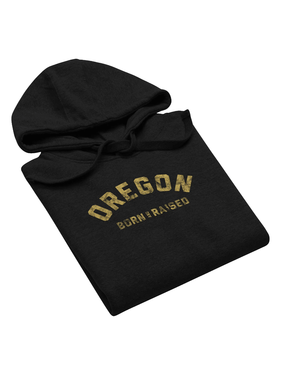 Oregon Born and Raised Hoodie product image (5)