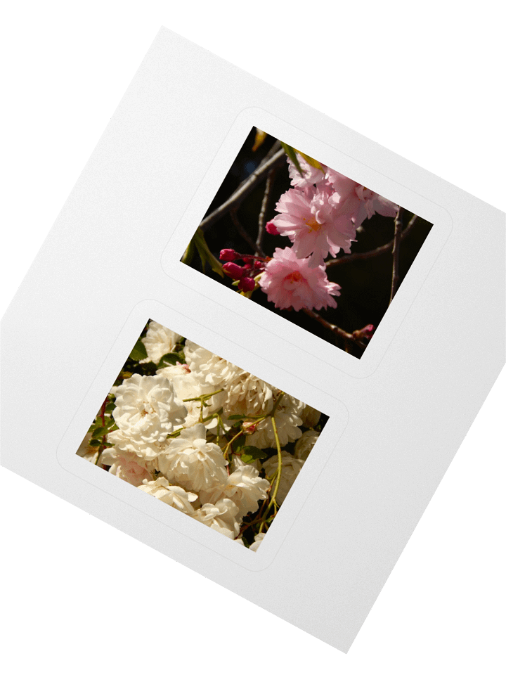 Flowers - Sticker Sheet product image (2)