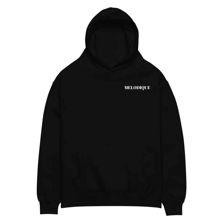 MELODIQUE Brand Quote Hoodie product image (2)