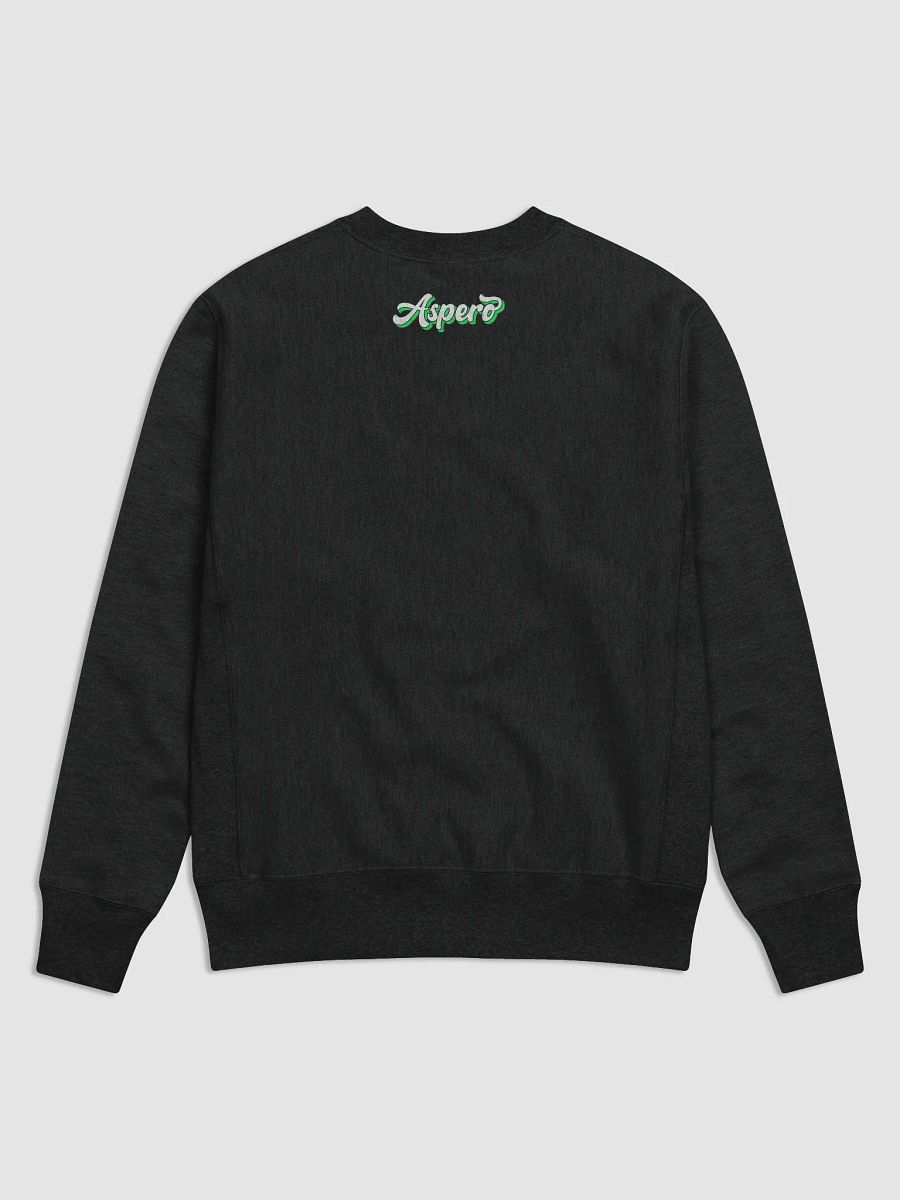 SideKick Aspero Champion Cotton Max Sweatshirt product image (2)