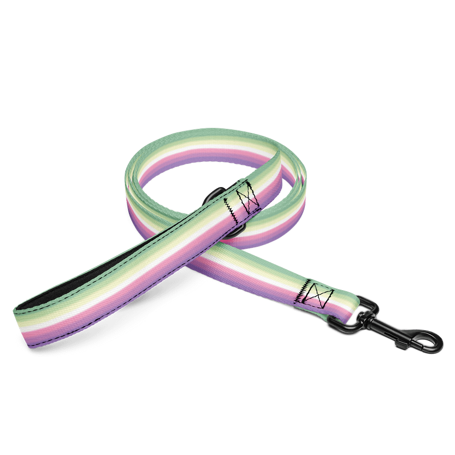 Genderfae Pride Flag Pet Leash product image (1)