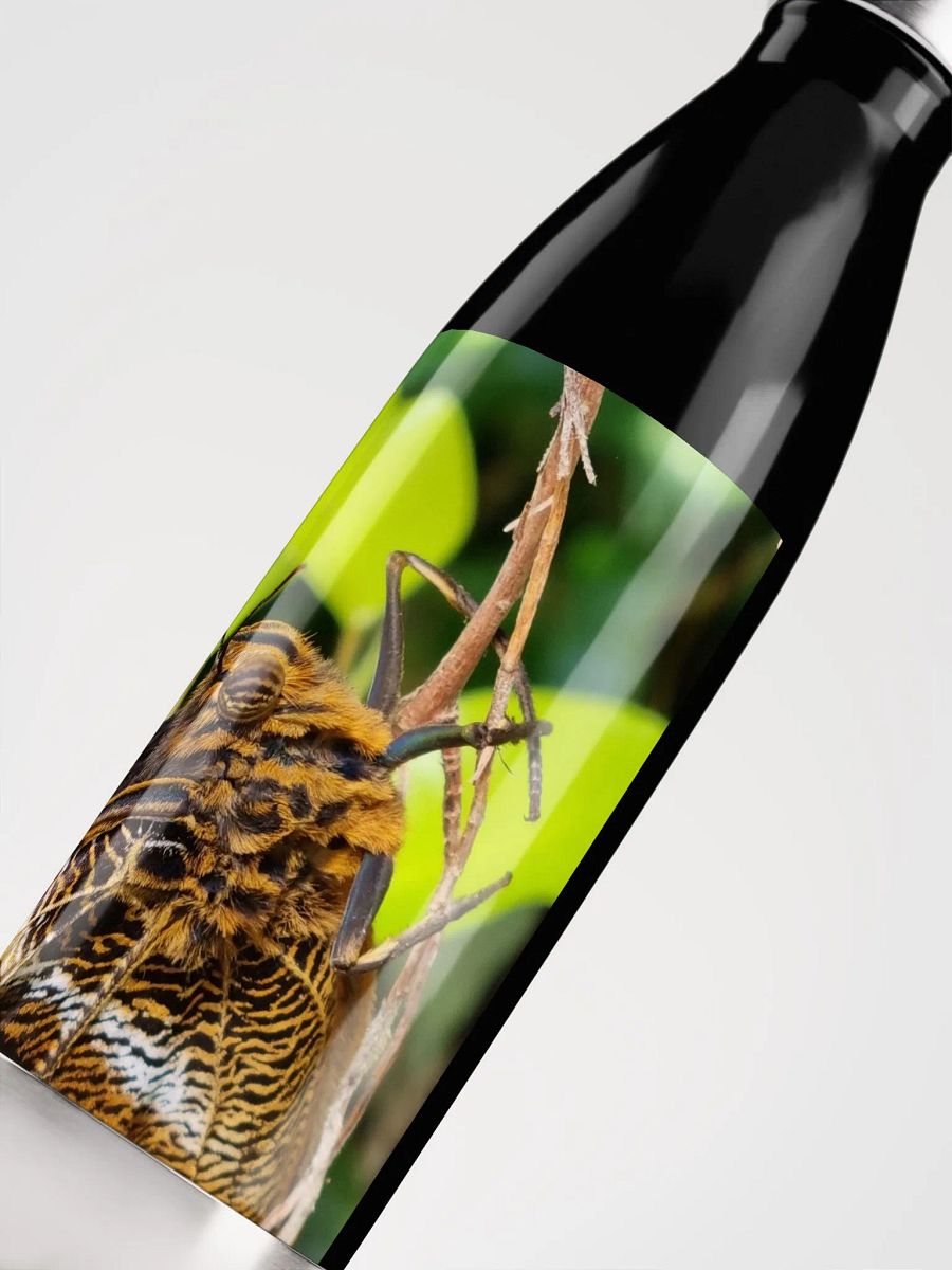 Closeup Tropical Butterfly Stainless Steel Water Bottle product image (5)