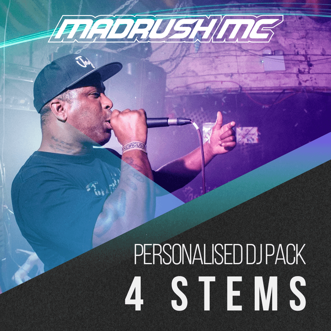 Personalised DJ Pack ( 4 Stems ) product image (1)