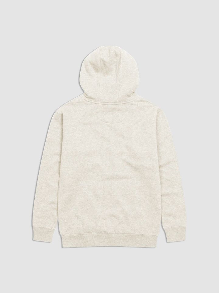The Gex Boys Hoodie product image (2)