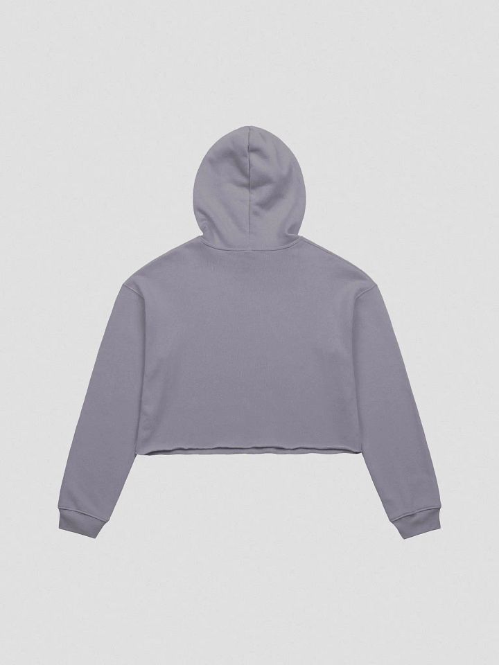 NPC Cropped Hoodie product image (5)