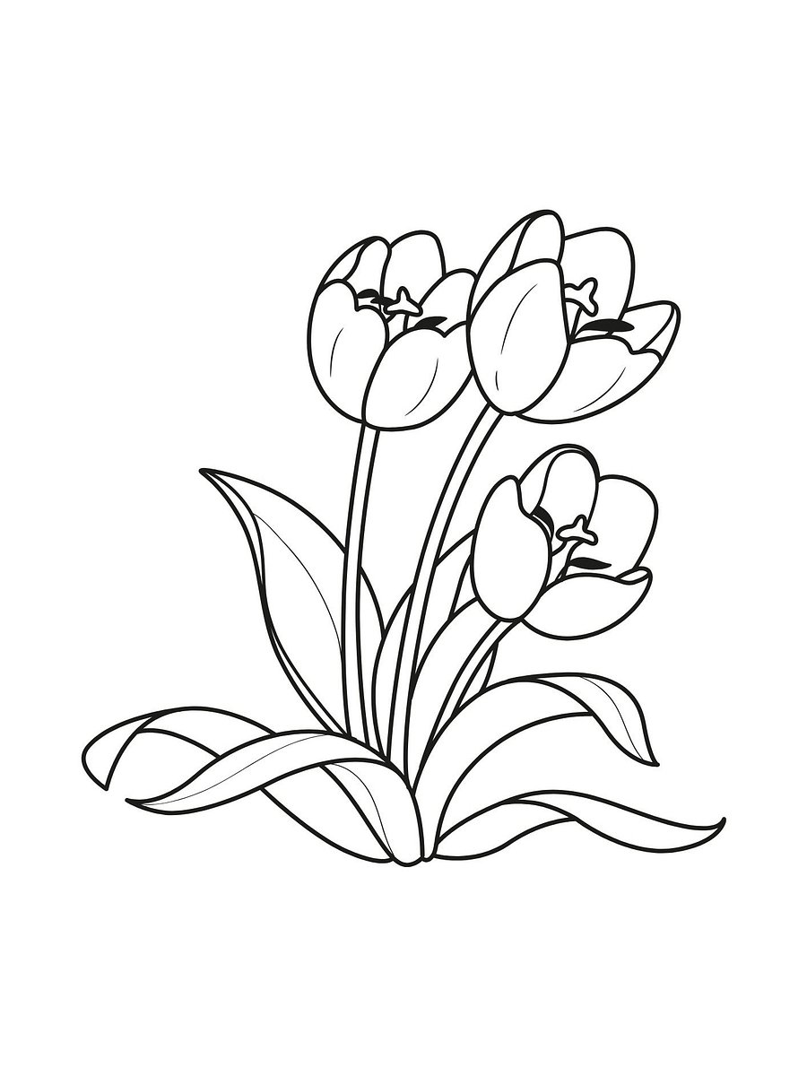 Flowers & Trees Coloring Pages product image (2)