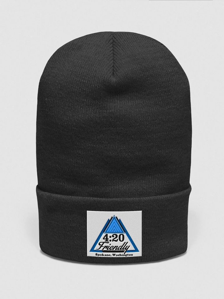 Beanie product image (1)