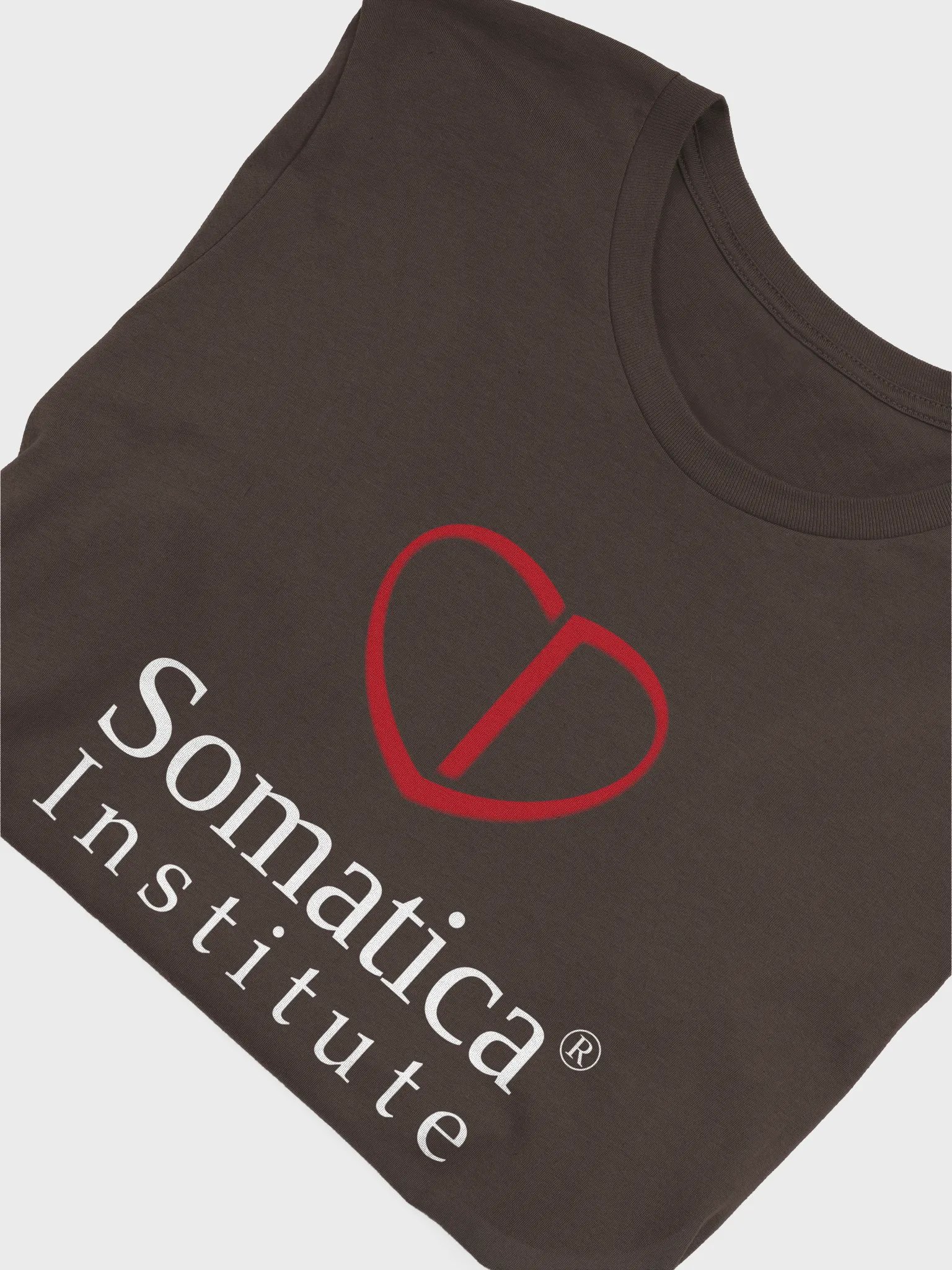 Somatica Institute T-Shirt product image (3)