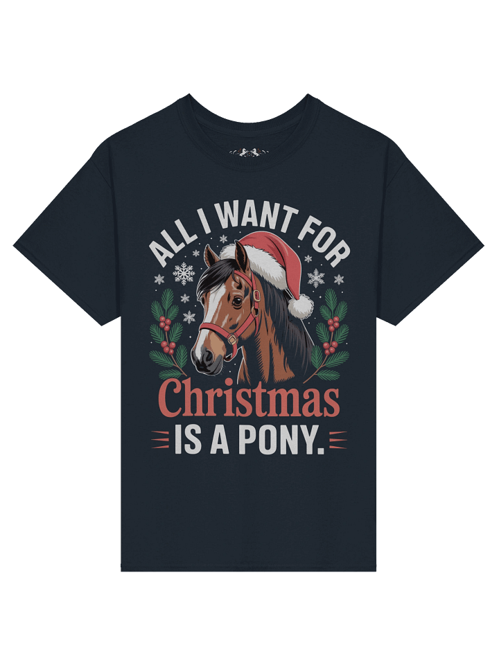 All I Want for Christmas Pony Tee product image (2)