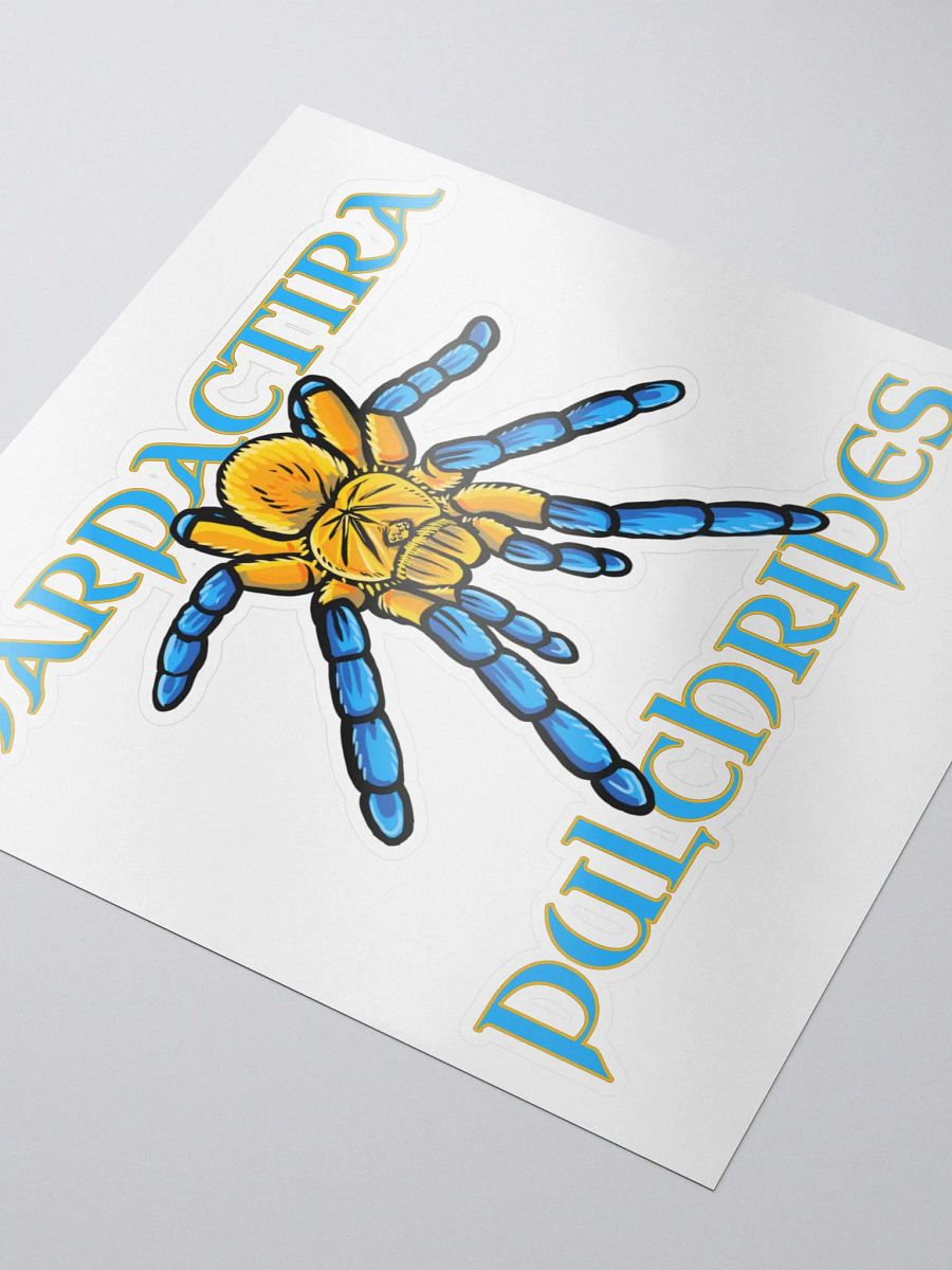 Harpactira pulchripes Sticker product image (3)