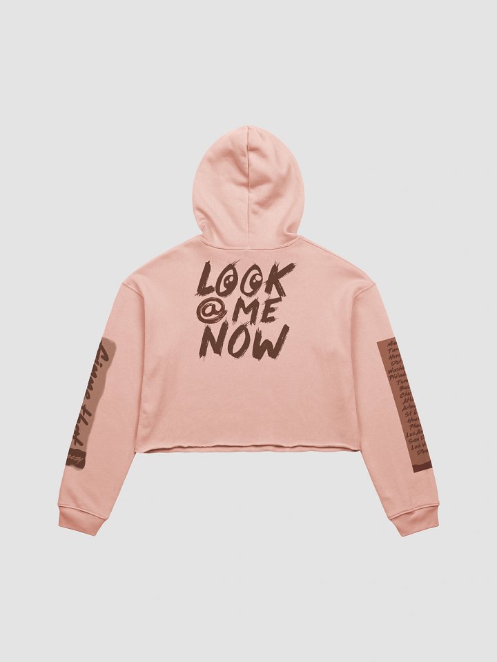 Breezy Fan Crop Hoodie product image (2)