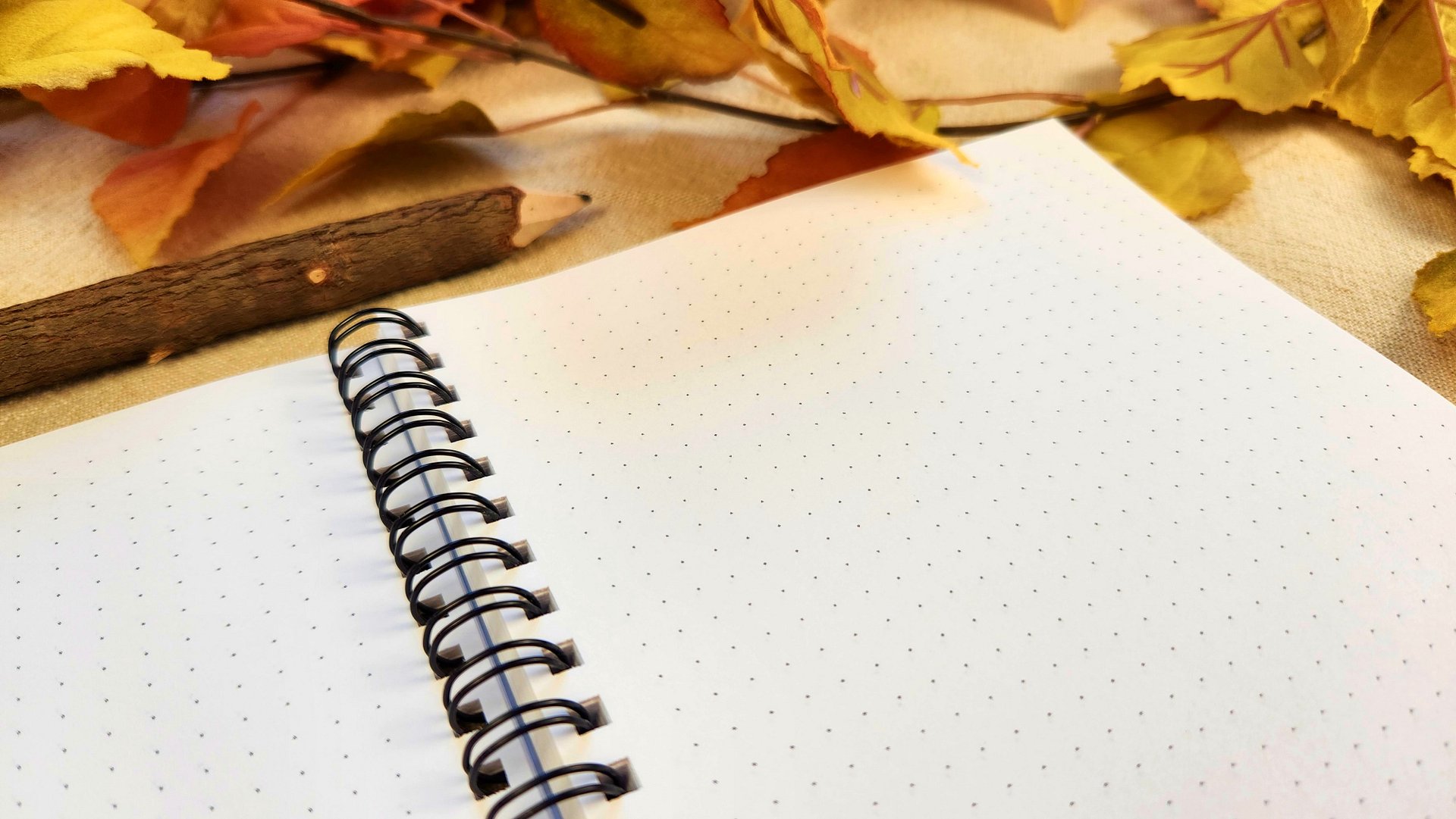 Autumn Daydreams Spiral Notebook/Journal (Blue) product image (4)