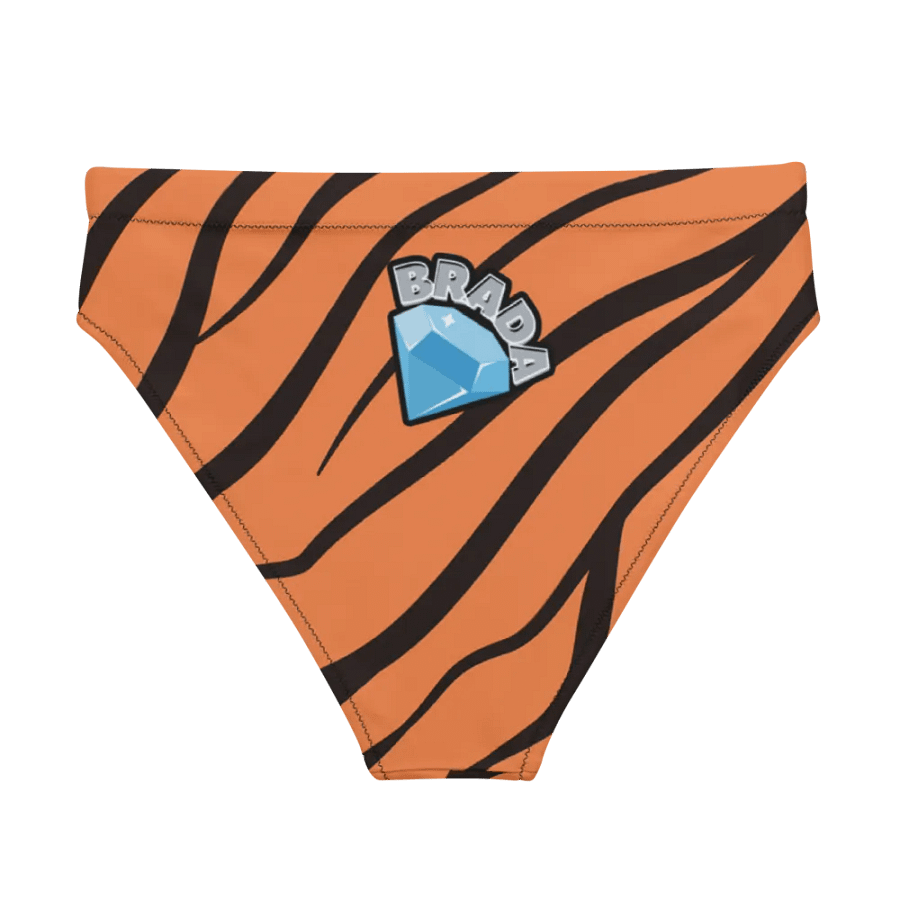 Brada Tiger Stripes Recycled Bikini Bottoms product image (2)