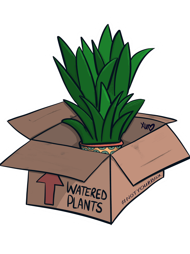 Not Your Box product image (1)