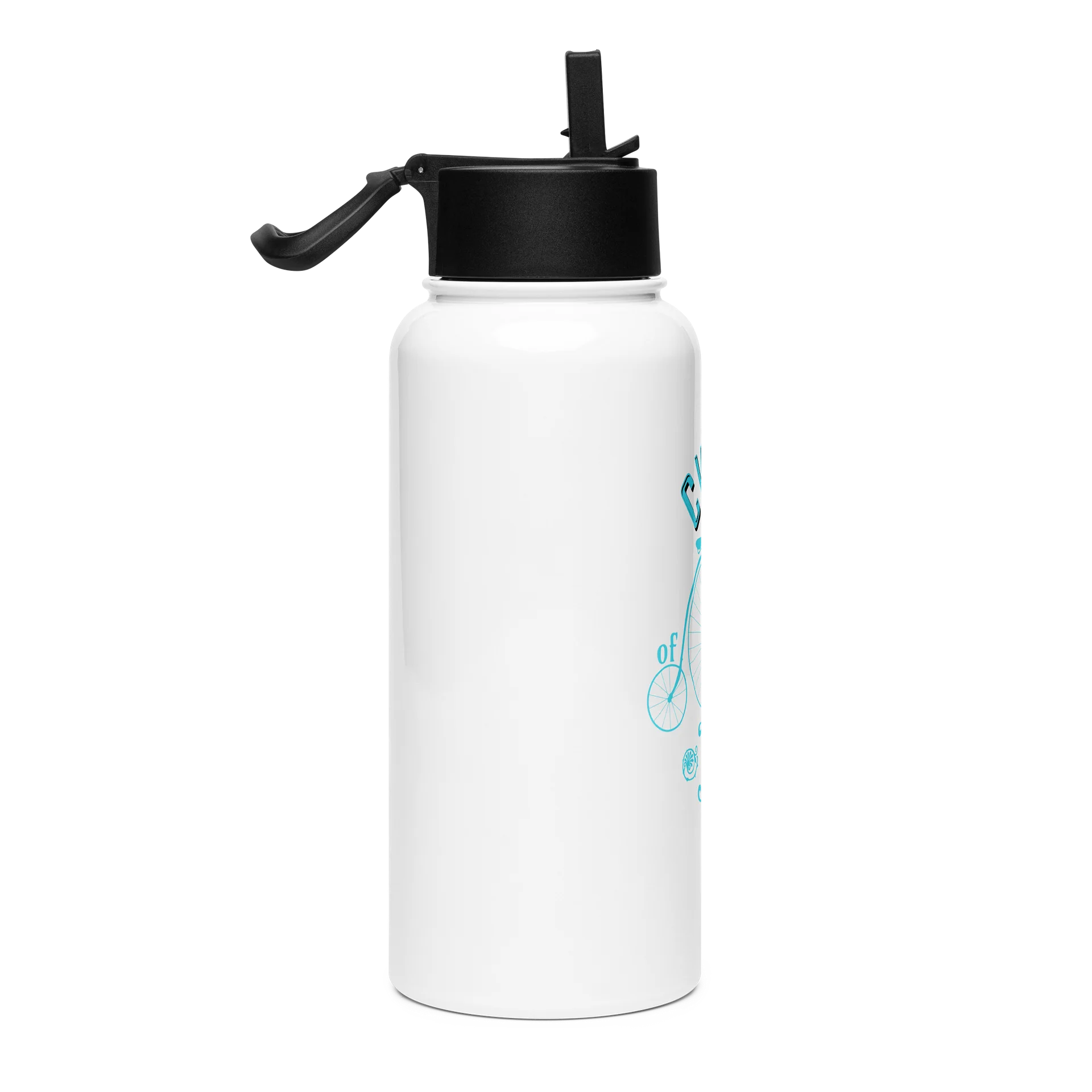 Cycle of Life Stainless Steel Water Bottle with a Straw Lid product image (2)