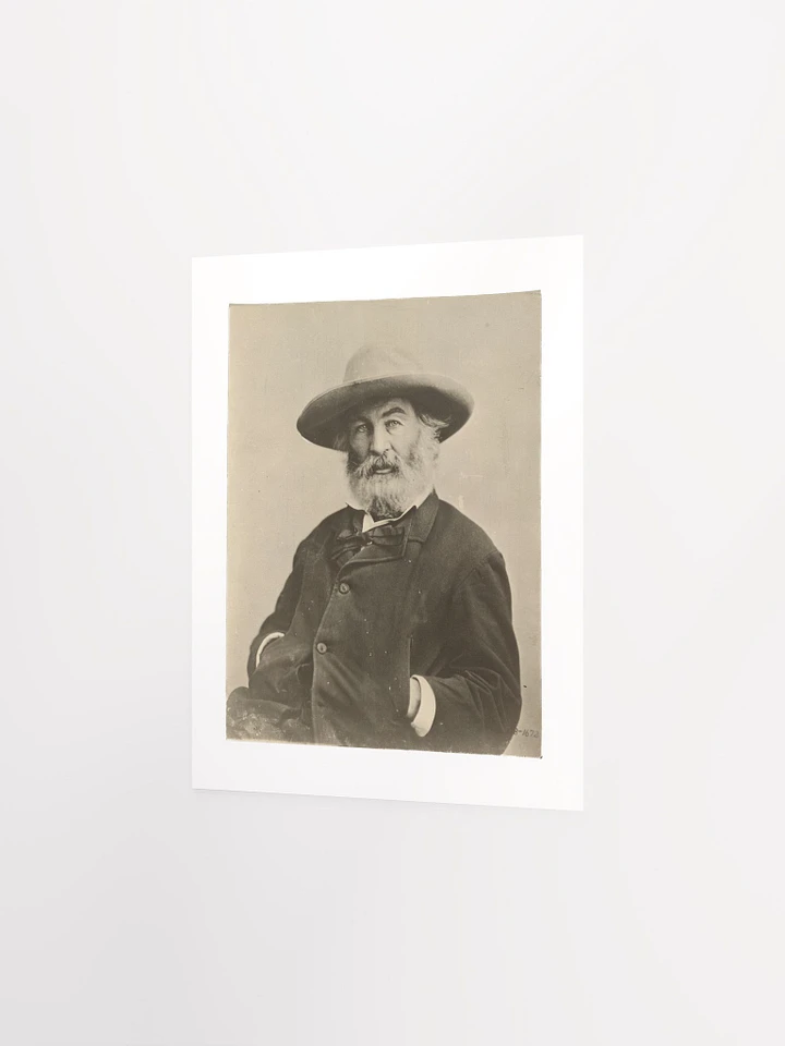 Walt Whitman By Mathew Brady? (c. 1870) - Print product image (2)