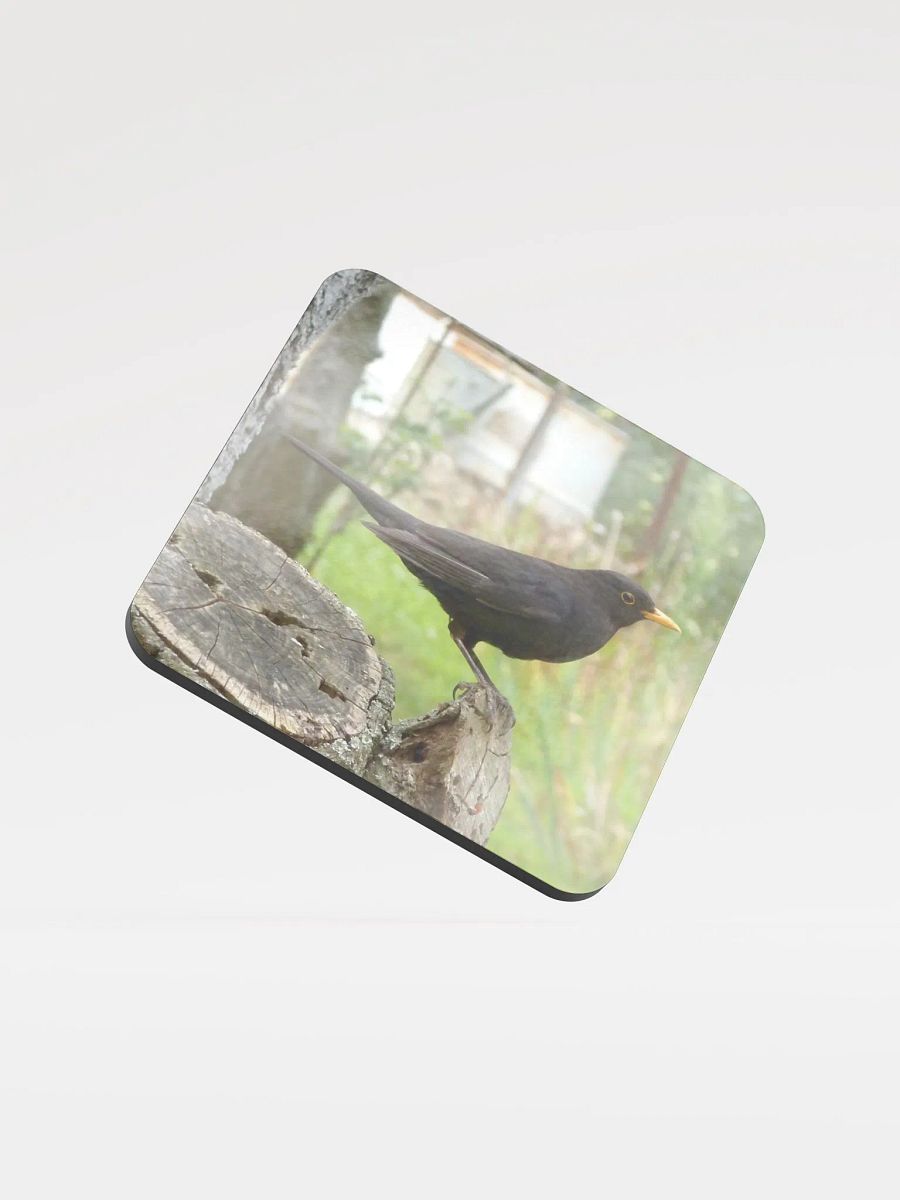 Glossed Cork Coaster - The common blackbird product image (1)