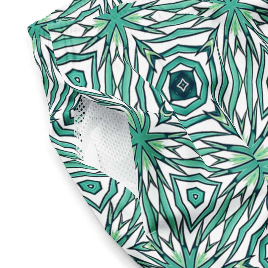 Aqua High Five Swim Trunks product image (2)