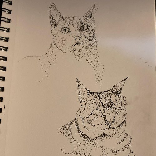 Life is a lot lately, so I haven't had the energy or inspiration for much creativity, and that makes me sad. Here's a stipple...
