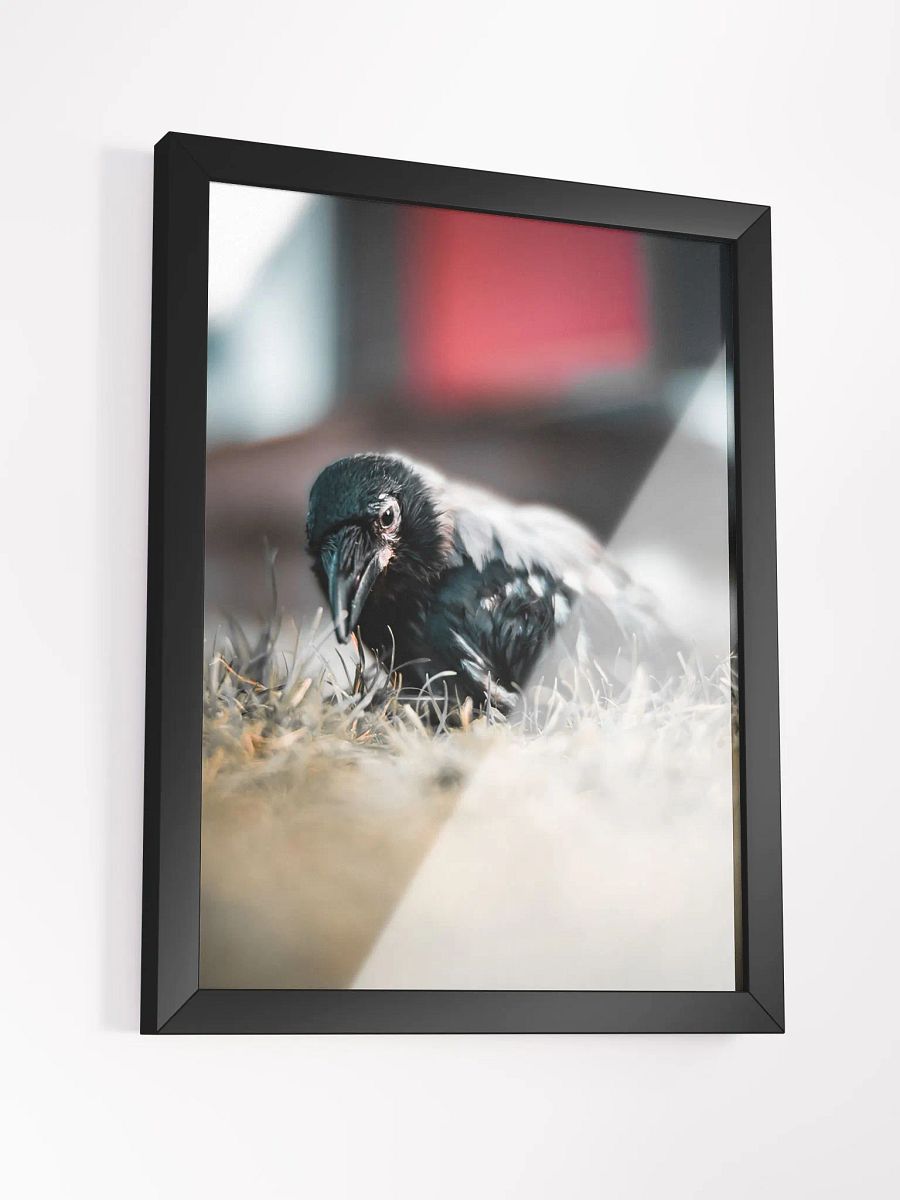 Hafez's Garden Adventure product image (3)