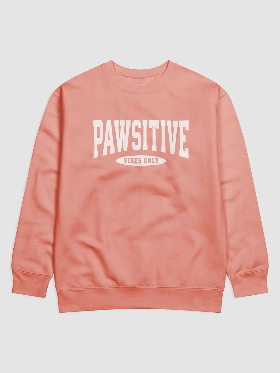 Pawsitive Vibes Only Premium Sweatshirt product image (1)