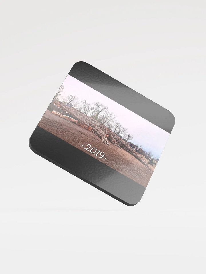 Coaster Collection - 2019 Alligator product image (1)
