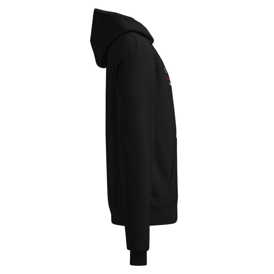 Ultraconservative UFO Family Hoodie product image (4)