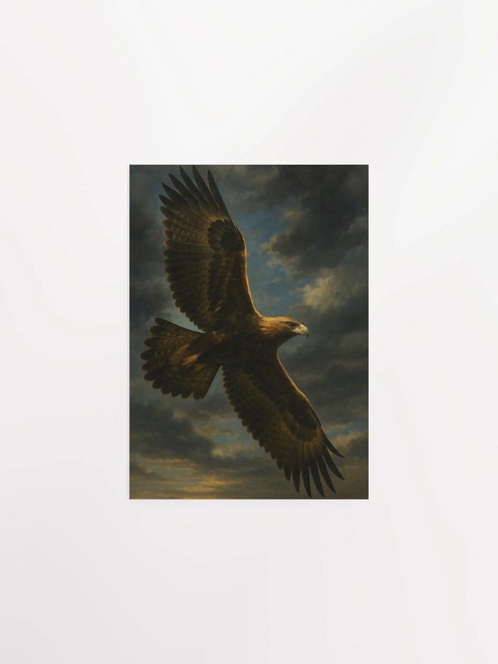 Wedge tailed eagle product image (2)
