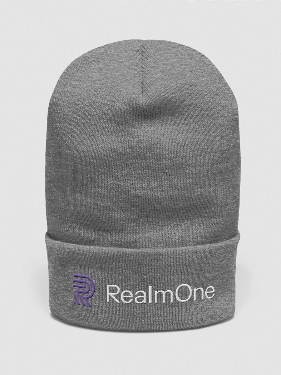 RO Beanie [GRAY] product image (1)