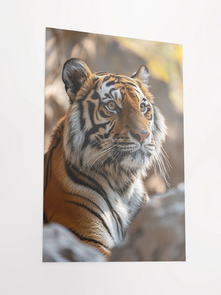 Tiger Solitude: A Portrait of Majestic Calm product image (6)