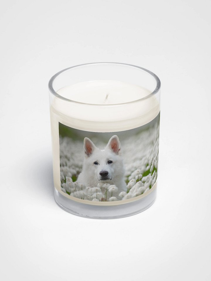 Rasta candle product image (2)