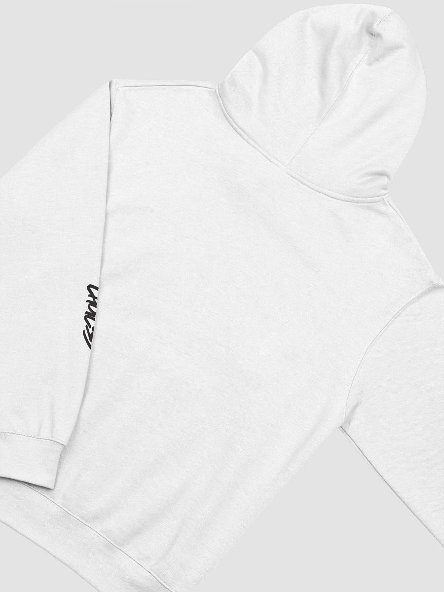 WASTING TIME HOODIE - WHITE product image (4)