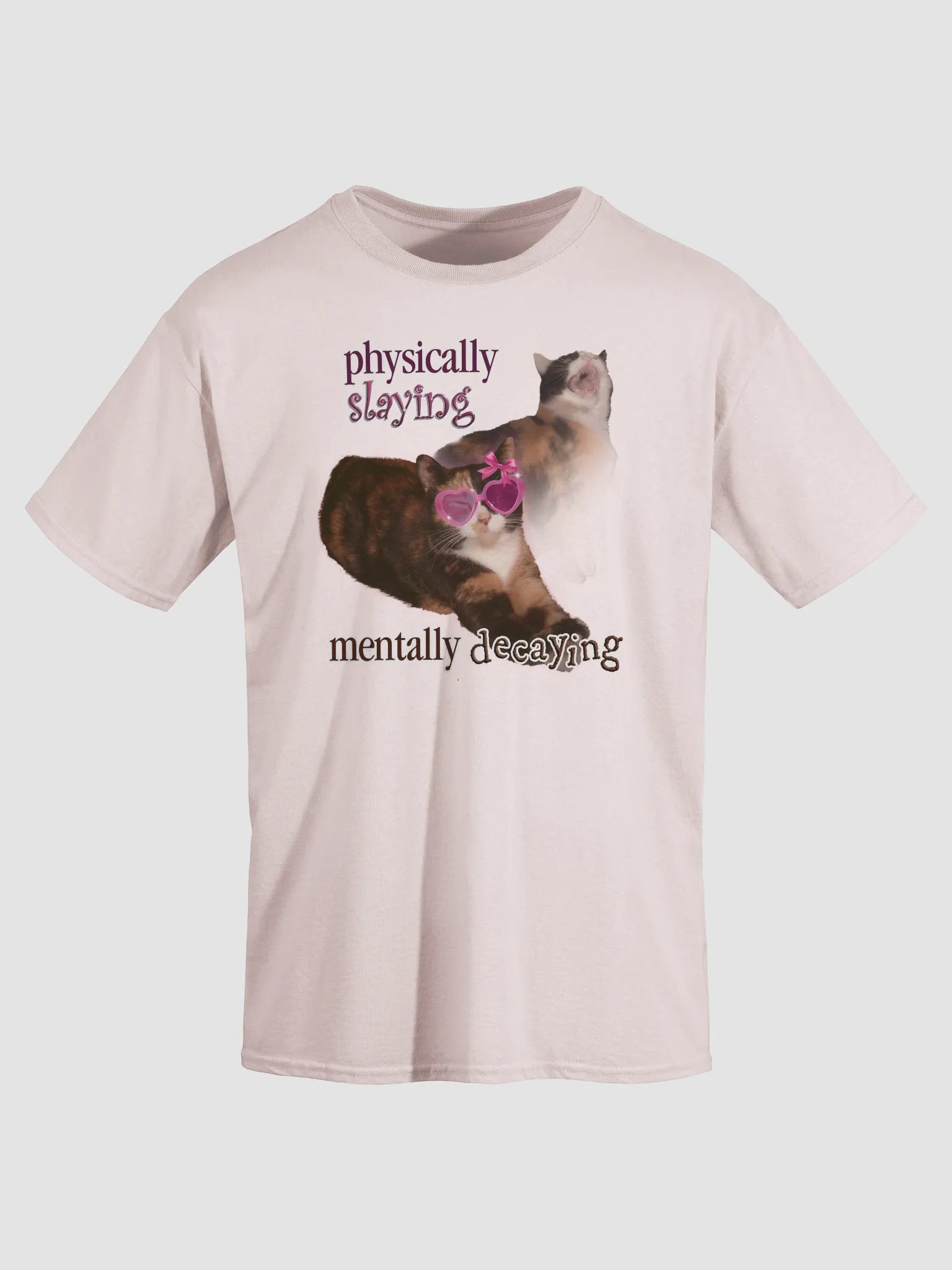 Physically Slaying Mentally Decaying - Cat T-shirt product image (35)