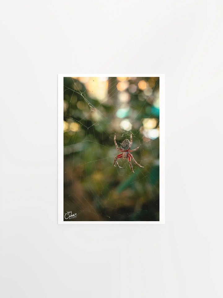 The Spiders Web - Print product image (1)