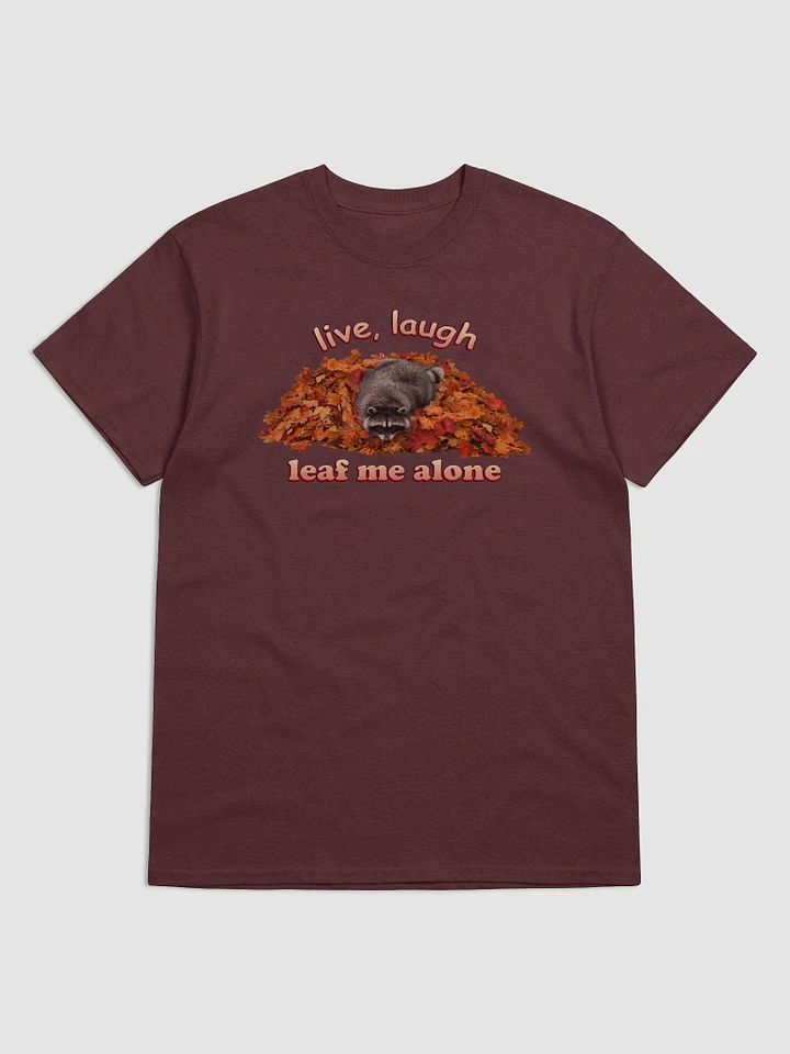 Live Laugh Leaf Me Alone Raccoon T-shirt product image (19)