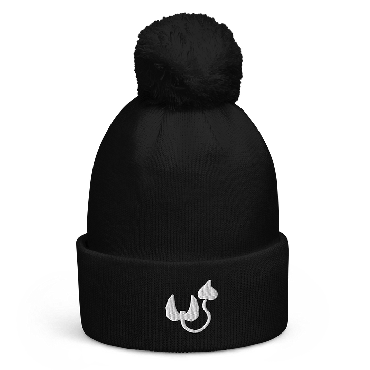 Entwi Logo Beanie product image (1)