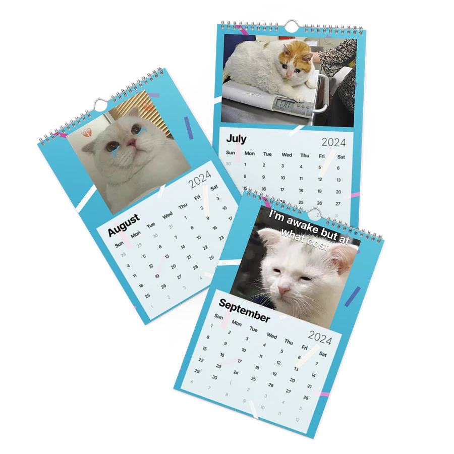 Wall Calendar (2024): Meme Cats product image (11)