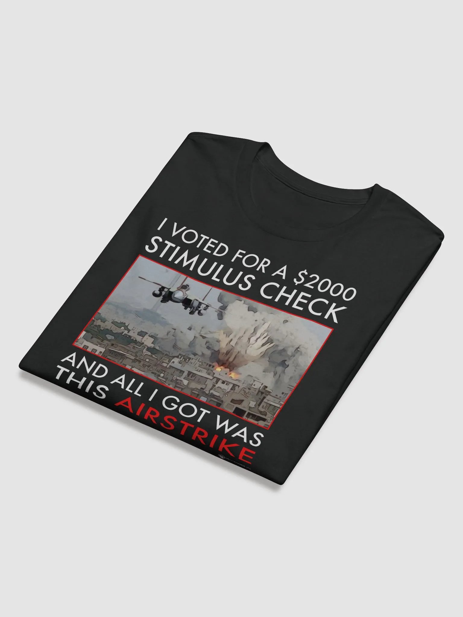 What You Get ForYour Vote product image (6)