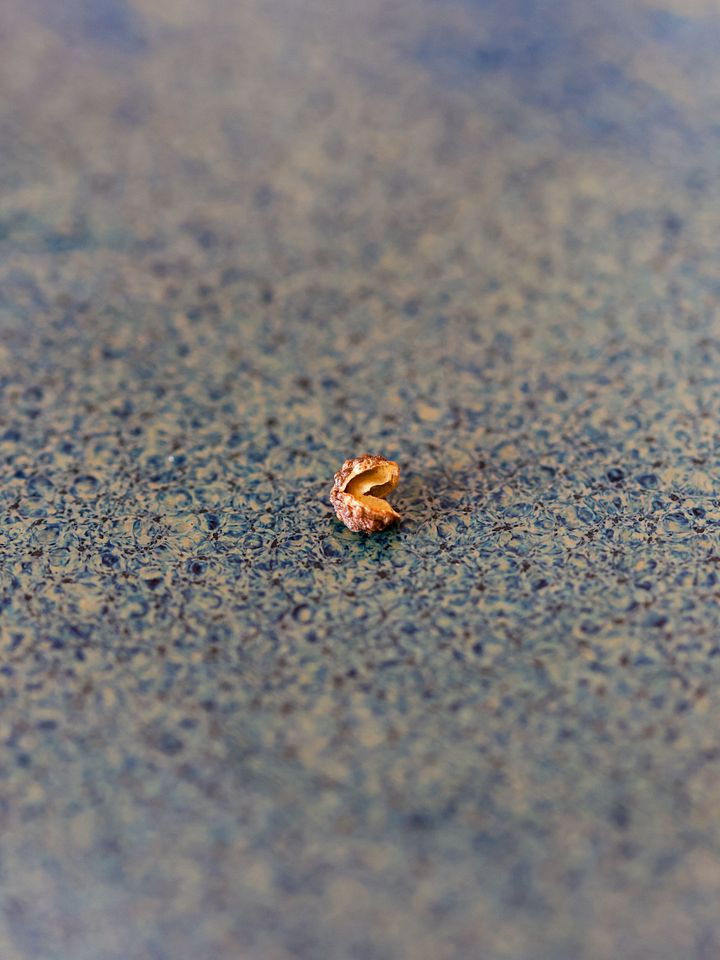 Poivre de Sichuan Vert - Sachet de 100g product image (1)