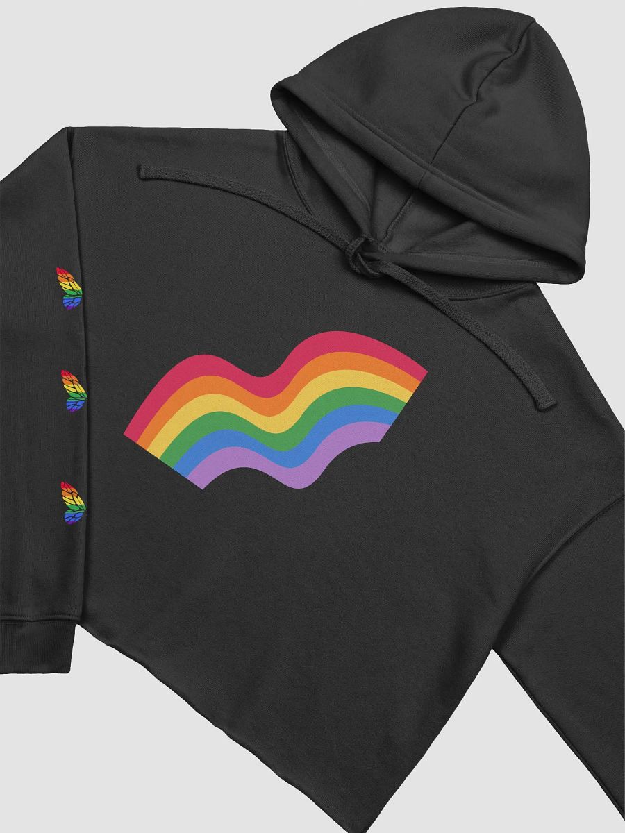 Rainbow Slide Crop Hoodie product image (12)