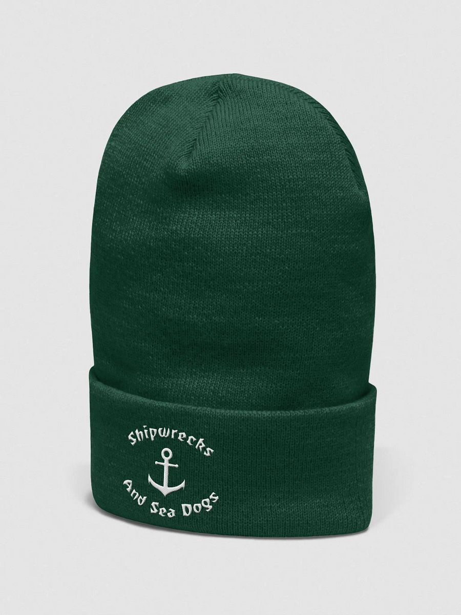 Cuffed Logo Beanie product image (2)