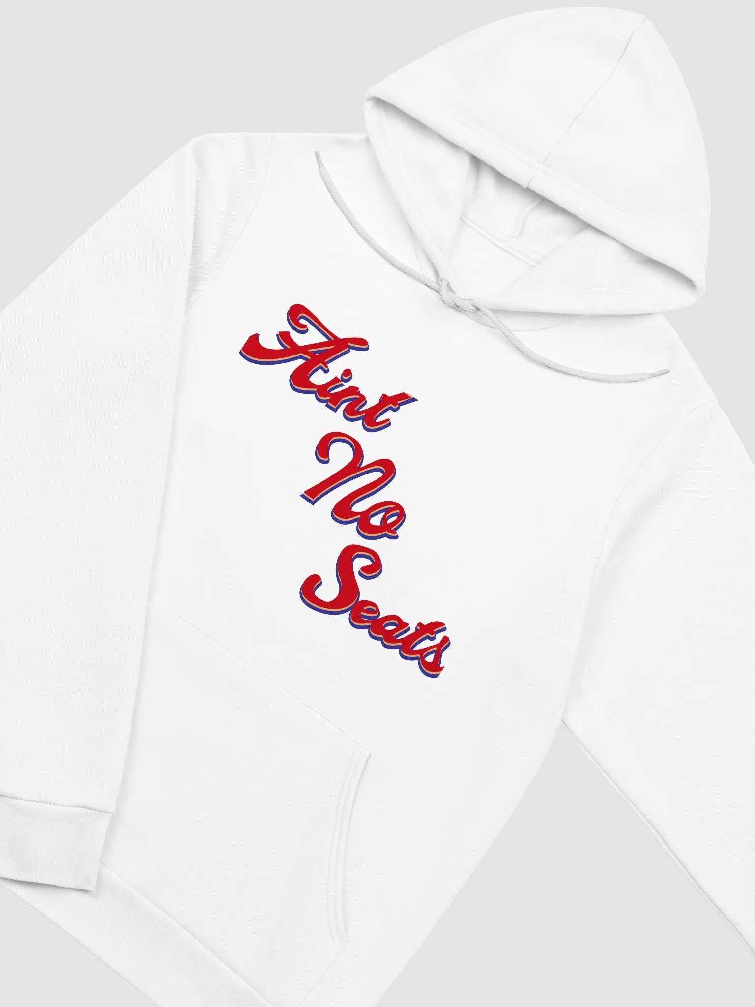 Ain't No Seats Hoodie product image (3)