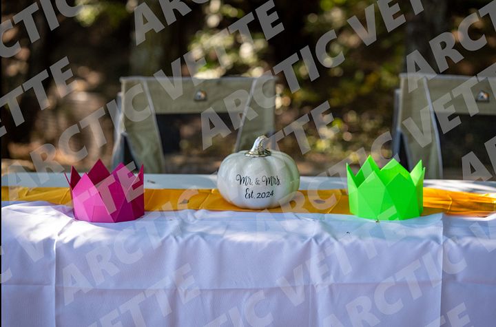 Arctic Vette Wedding Photo 2 - Honeymoon Fundraiser product image (1)