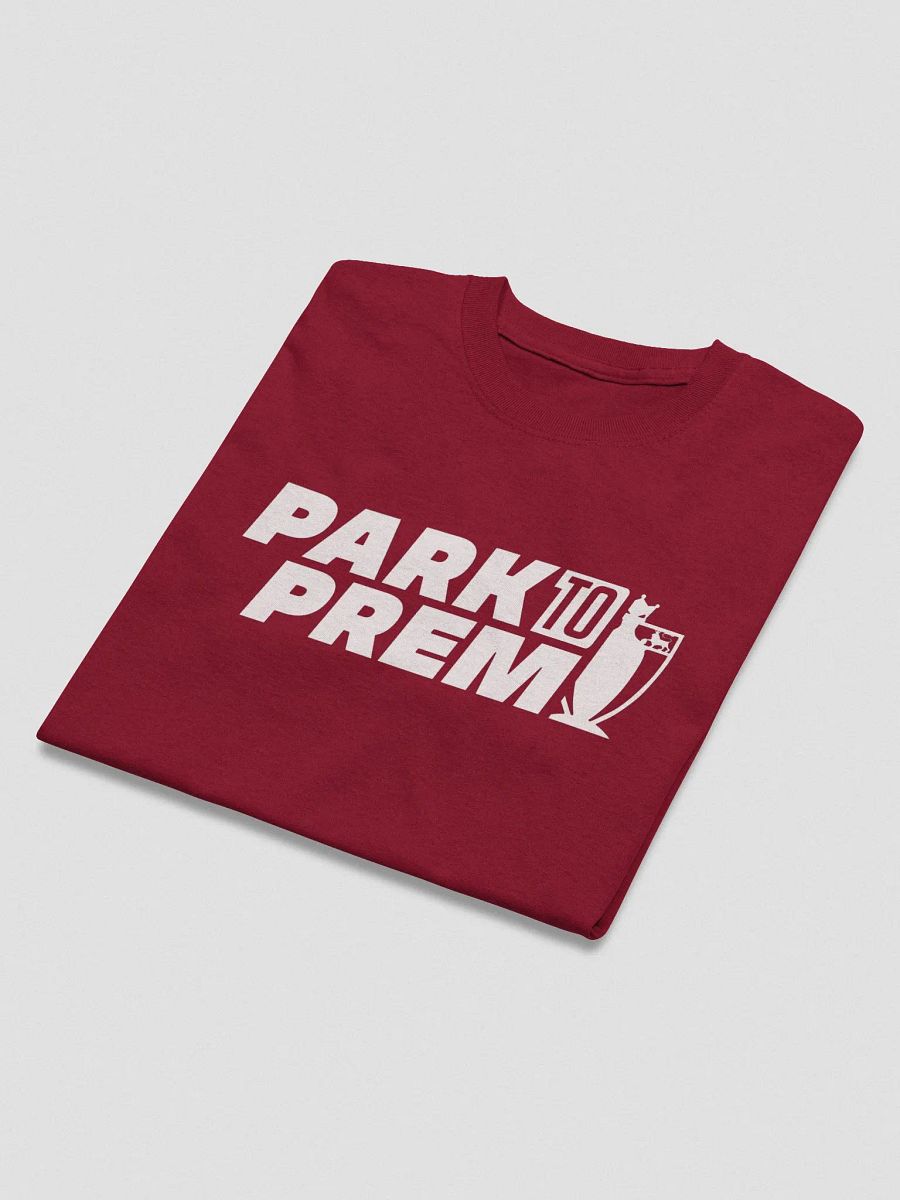 Park to Prem T-Shirt (Colour) product image (9)