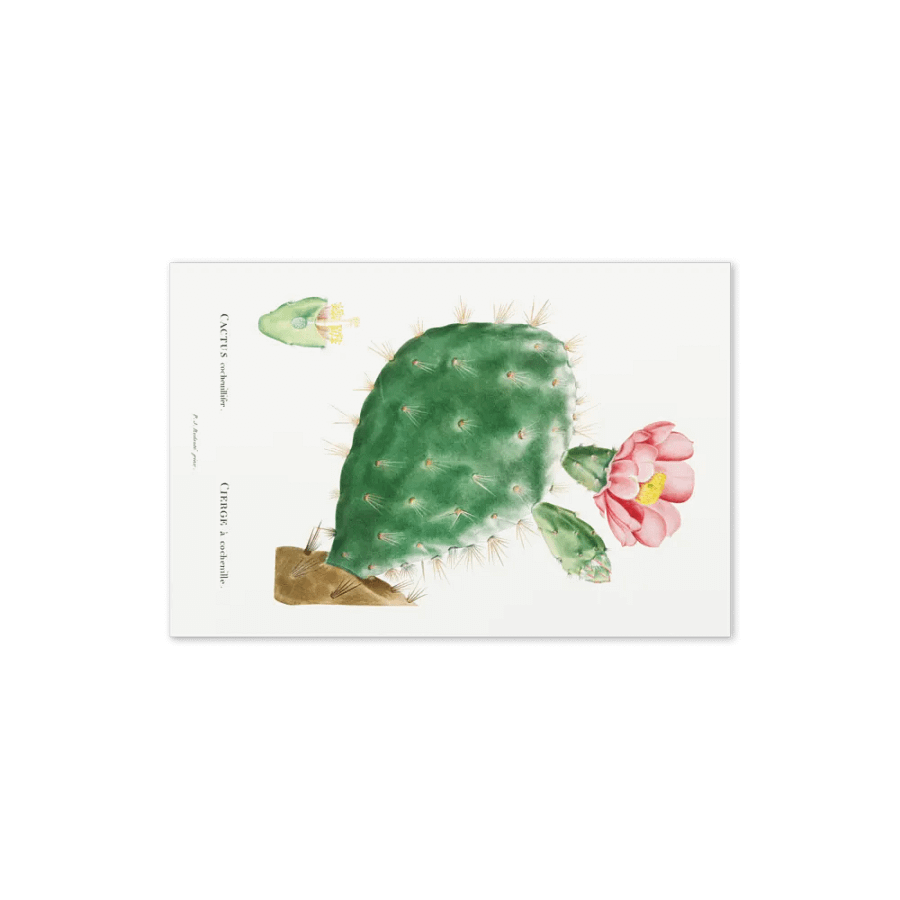 Blooming Desert Greetings product image (3)