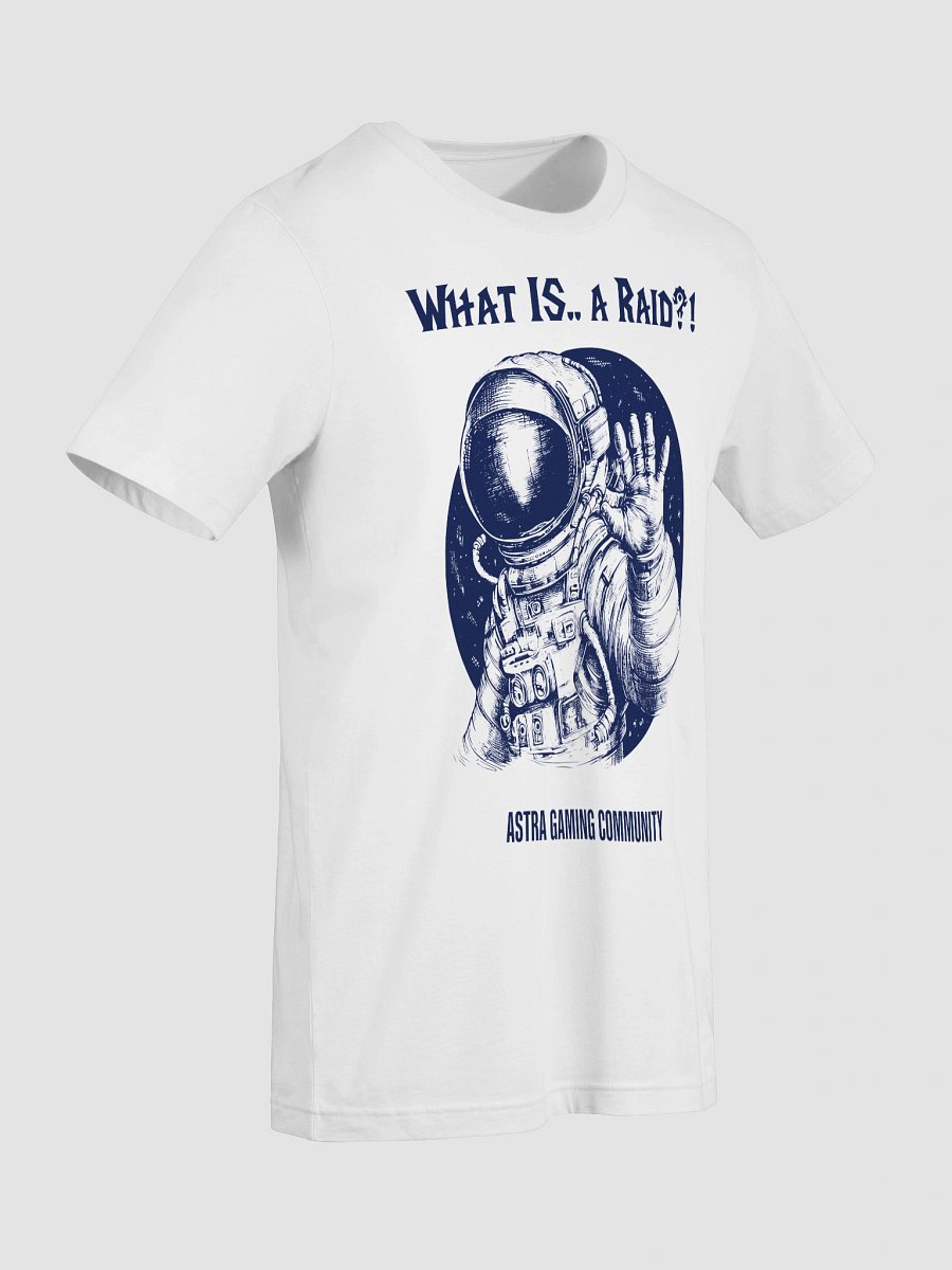 What is... a Raid? product image (9)
